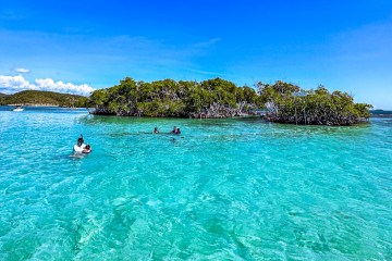 a group of people swimming in the caribbean