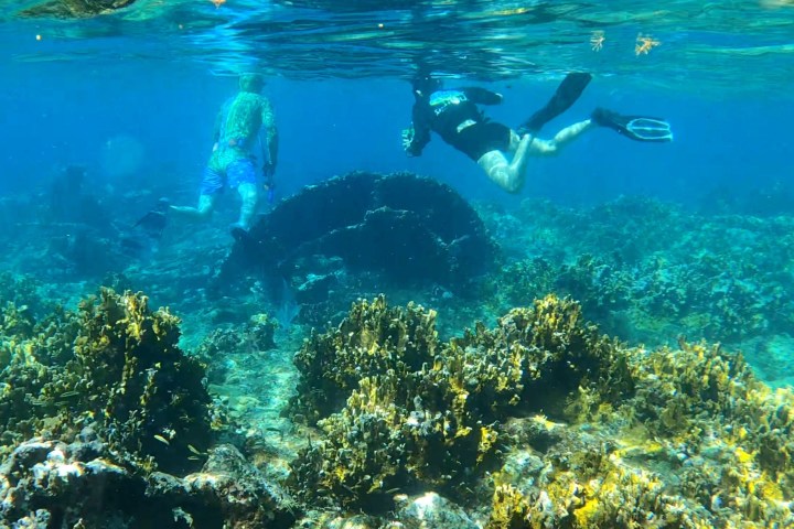 a person swimming in a pool of water