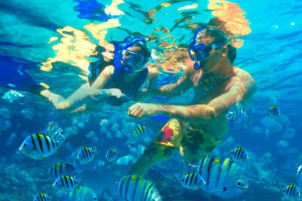 a group of people swimming in a body of water