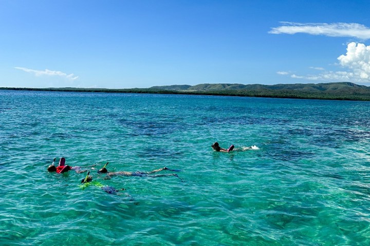 a group of people swimming in a body of water