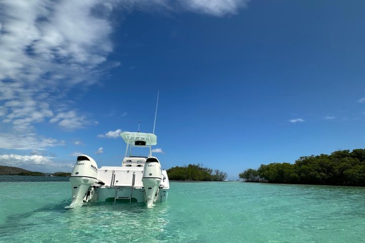 a boat in a body of water